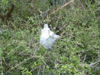 Albums/20060200-New Zealand 2006/20060207-South to Fox/23